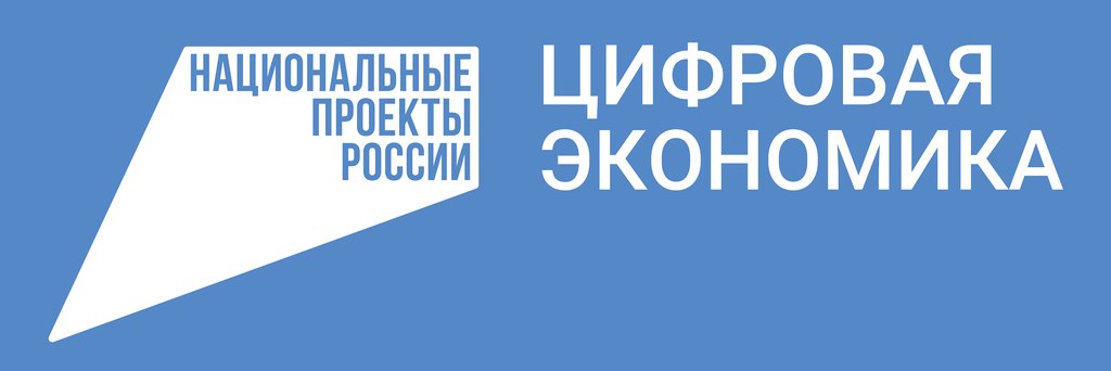 Национальная программа «Цифровая экономика Российской Федерации» 