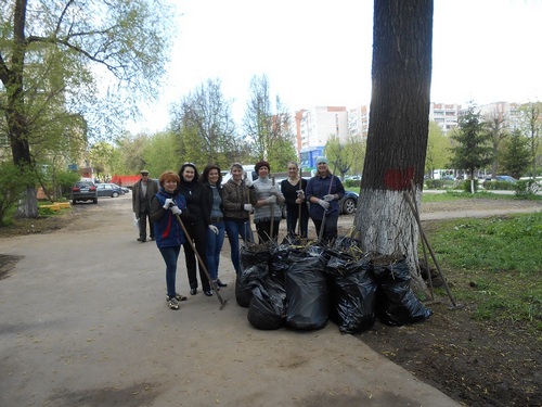 Участие сотрудников Центра в общеобластном субботнике